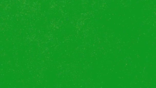 Fog Top Quality Animated Green Screen Easy Editable Green Screen — Stock Video