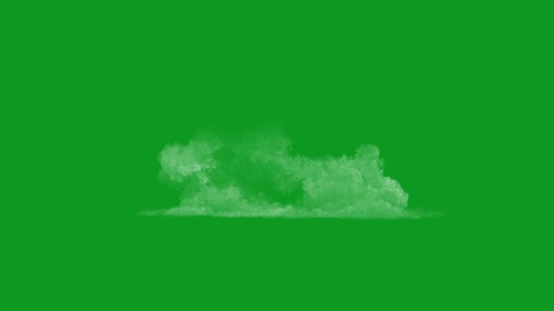 Nebbia Alta Qualità Animato Schermo Verde Facile Modificabile Video Schermo — Video Stock
