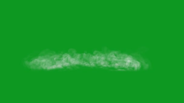Nebel Top Qualität Animierten Grünen Bildschirm Leicht Editierbare Green Screen — Stockvideo