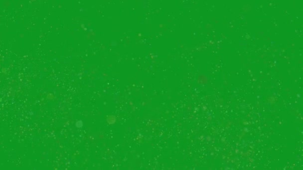 雾顶层动画绿色屏幕4K 易编辑绿色屏幕视频 高品质矢量3D插图 首选绿色屏幕背景 — 图库视频影像