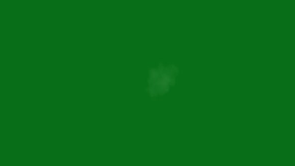 Muilkorf Flash Side View Top Kwaliteit Geanimeerde Groene Scherm Video — Stockvideo
