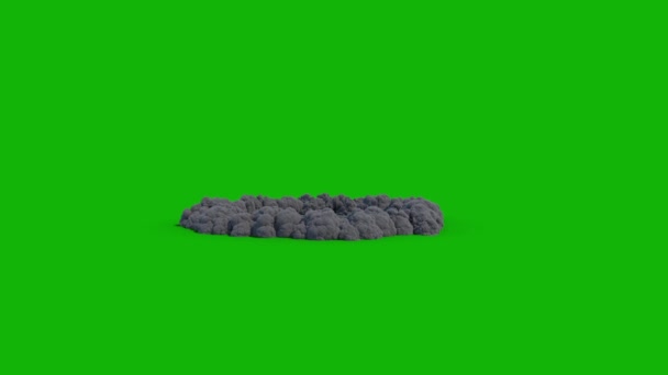 核冲击波高分辨率绿色屏幕动画视频4K 易编辑绿色屏幕视频 高质量矢量3D插图 首选绿色屏幕背景 — 图库视频影像