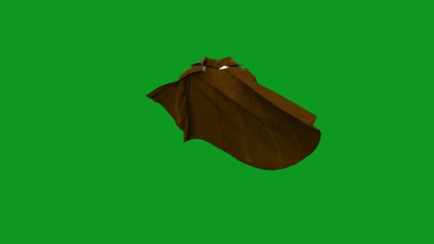 Magic Cloak Top Роздільна Здатність Зеленого Екрану Відео Просте Редагування — стокове відео