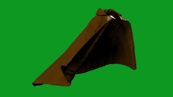 Magic Cloak Top Resolución Vídeo Pantalla Verde Fácil Edición Vídeo — Vídeos de Stock