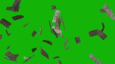Money Falling Top Resolution animasyon yeşil ekran video 4k, Kolay düzenlenebilir yeşil ekran video, yüksek kaliteli vektör 3D illüstrasyon, Üst Seçili yeşil ekran arkaplan