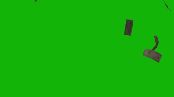 Деньги Падение Верхней Разрешение Анимации Зеленый Экран Видео Легко Редактируемый — стоковое видео