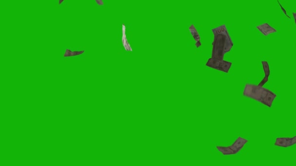 Гроші Падіння Верхньої Роздільної Здатності Анімація Зеленого Екрану Відео Просте — стокове відео