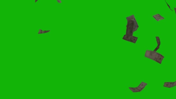Гроші Падіння Верхньої Роздільної Здатності Анімація Зеленого Екрану Відео Просте — стокове відео