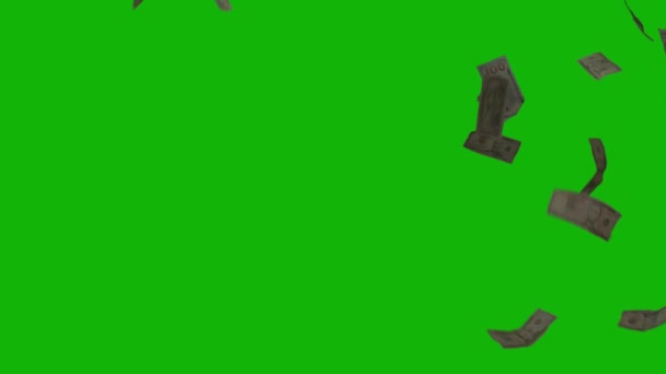 Money Falling Top Resolution Animation Green Screen Video Easy Editable — Wideo stockowe