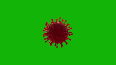 Virüs üst çözünürlük yeşil ekran 4k, kolay düzenlenebilir yeşil ekran video, yüksek kaliteli 3D illüstrasyon vektörü. Üst seçim yeşil ekran arkaplanı