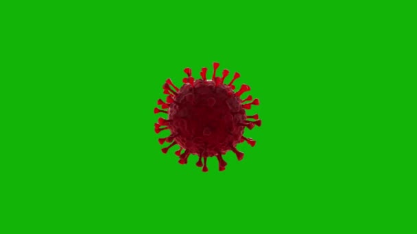 Virus Top Resolution Green Screen Footage Easy Editable Green Screen — Stock Video