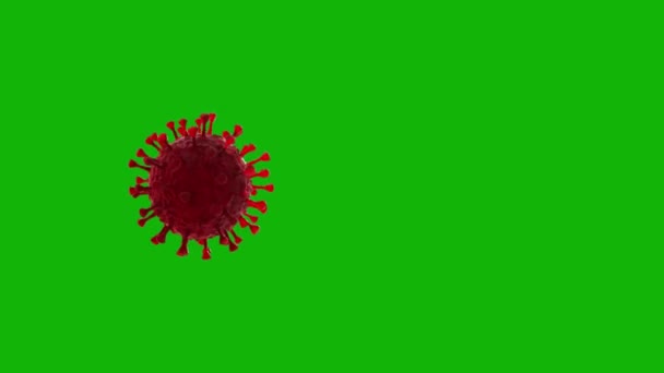 Virus Top Resolution Green Screen Footage Easy Editable Green Screen — Stock Video
