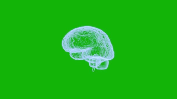 Beyin Tepesi Yeşil Ekran Efekti Video Kolay Düzenlenebilir Yeşil Ekran — Stok video