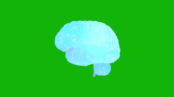 Εγκέφαλος Κορυφή Ανάλυση Πράσινο Βίντεο Εφέ Οθόνης Εύκολη Επεξεργάσιμο Πράσινο — Αρχείο Βίντεο