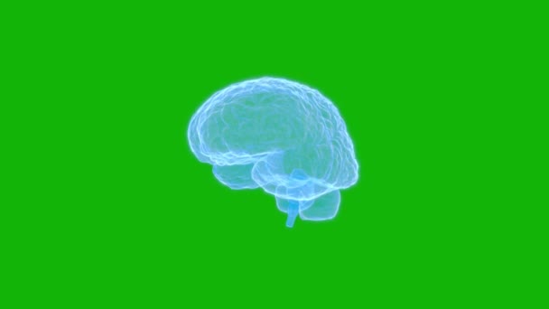 Mozek Top Rozlišení Zelená Obrazovka Efekt Video Snadné Úpravy Zelené — Stock video