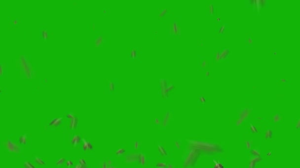 蜜蜂顶部分辨率绿色屏幕镜头4K 容易编辑绿色屏幕视频 高品质矢量3D插图 首选绿色屏幕背景 — 图库视频影像