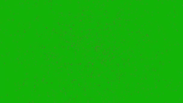 Bee Top Rozlišení Zelená Obrazovka Záběry Snadno Editovatelné Zelené Obrazovky — Stock video