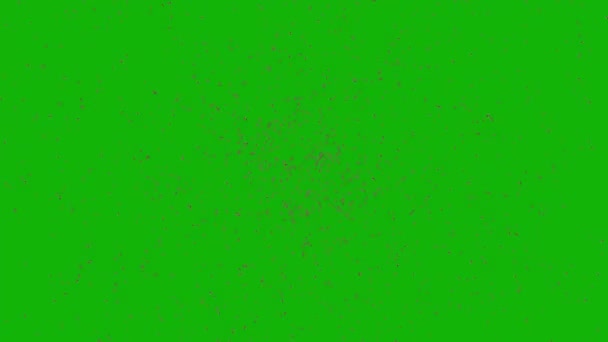 Bee Top Rozlišení Zelená Obrazovka Záběry Snadno Editovatelné Zelené Obrazovky — Stock video