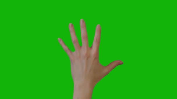 Жіноча Рука Верхньої Роздільної Здатності Анімований Зелений Екран Легке Редагування — стокове відео