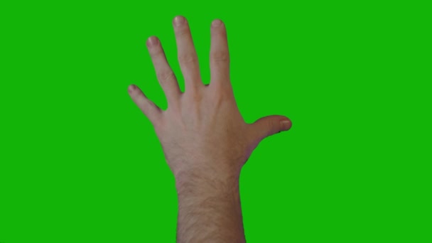 Male Hand Top Resolution Green Screen Video Easy Editable Green — Stock Video