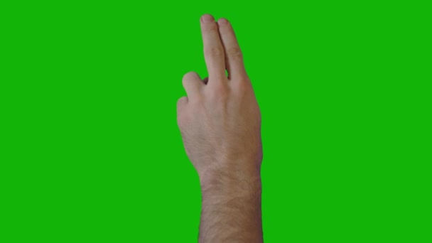 男性手顶分辨率绿色屏幕视频4K 易编辑绿色屏幕视频 高品质矢量3D插图 首选绿色屏幕背景 — 图库视频影像