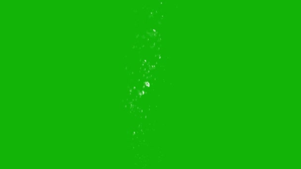 Bubbles Top Resolution Green Screen Video Mudah Diedit Hijau Layar — Stok Video