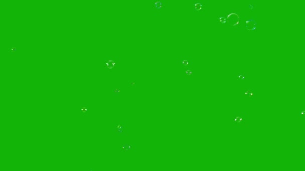 Bubbles Üst Çözünürlük Yeşil Ekran Video Kolay Düzenlenebilir Yeşil Ekran — Stok video