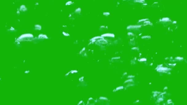 Buborékok Top Felbontás Zöld Képernyős Videó Könnyű Szerkeszthető Zöld Képernyős — Stock videók