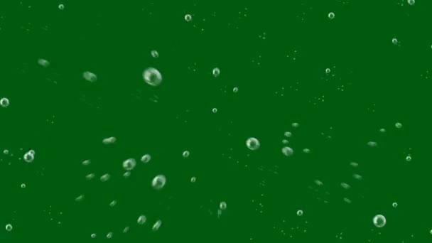 Bubbles Top Resolución Vídeo Pantalla Verde Vídeo Pantalla Verde Fácil — Vídeo de stock