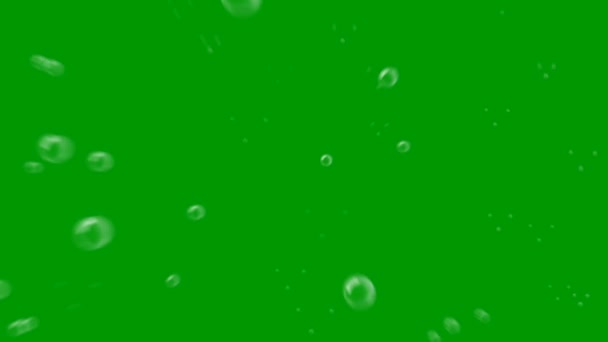Bubblor Topp Upplösning Grön Skärm Video Lätt Redigerbar Grön Skärm — Stockvideo