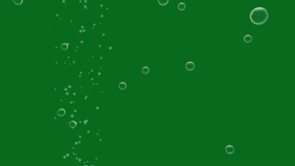 Bubblor Topp Upplösning Grön Skärm Video Lätt Redigerbar Grön Skärm — Stockvideo