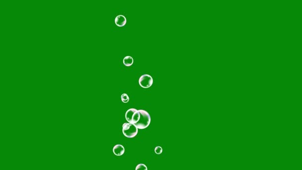 Blasen Oberste Auflösung Green Screen Video Leicht Bearbeitbare Green Screen — Stockvideo