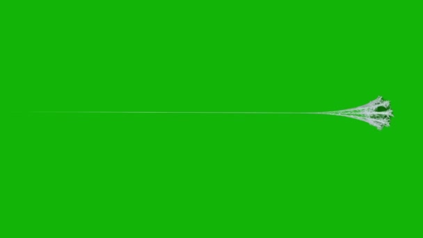 Веб Высшего Качества Анимированный Зеленый Экран Видео Легкий Съедобный Зеленый — стоковое видео