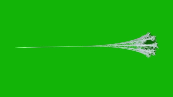 Веб Відео Високої Якості Анімований Зелений Екран Легке Редагування Зеленого — стокове відео