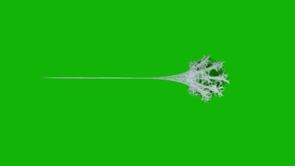 Веб Відео Високої Якості Анімований Зелений Екран Легке Редагування Зеленого — стокове відео