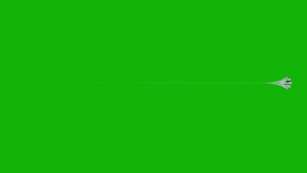 Веб Высшего Качества Анимированный Зеленый Экран Видео Легкий Съедобный Зеленый — стоковое видео