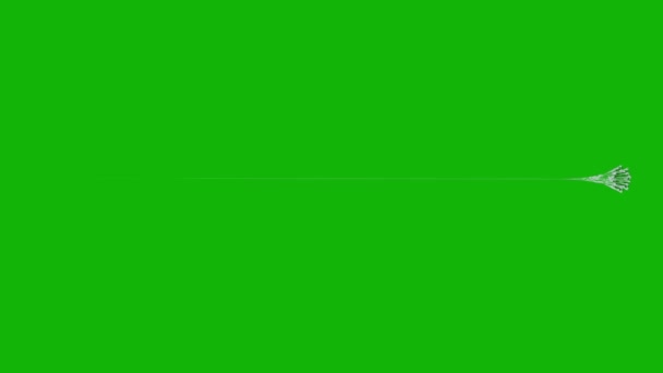 Web Najwyższej Jakości Animowany Zielony Ekran Wideo Łatwy Edycji Zielony — Wideo stockowe