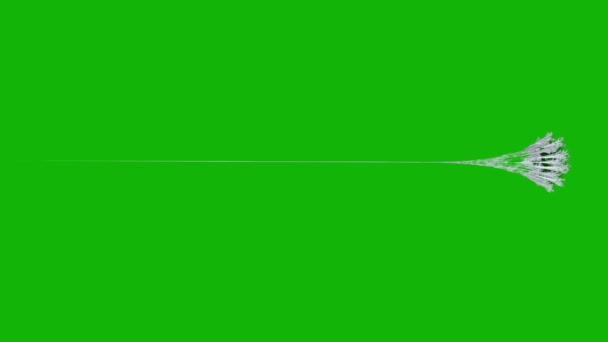 Web Top Quality Animated Green Screen Video Easy Editable Green — Stock Video