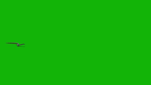 スネークトップ解像度グリーンスクリーン4K 簡単に編集可能なグリーンスクリーンビデオ 高品質のベクター3Dイラスト トップの選択 緑のスクリーンの背景 — ストック動画