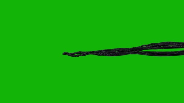 Alien Щупальца Верхнего Разрешения Зеленый Экран Кадры Легко Редактируемый Зеленый — стоковое видео