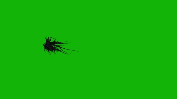 Außerirdische Tentakel Obere Auflösung Green Screen Footage Leicht Bearbeitbare Green — Stockvideo