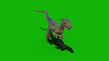 Dinozorlar en iyi çözünürlükte yeşil ekran video 4k, kolay düzenlenebilir yeşil ekran video, yüksek kaliteli 3D illüstrasyon vektörü. Üst seçim yeşil ekran arkaplanı