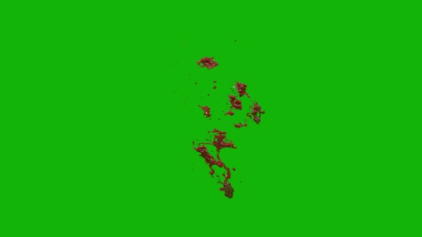 血溅在墙上分辨率最高的动画绿色屏幕视频4K 易于编辑的绿色屏幕视频 高质量的矢量3D插图 首选绿色屏幕背景 — 图库视频影像