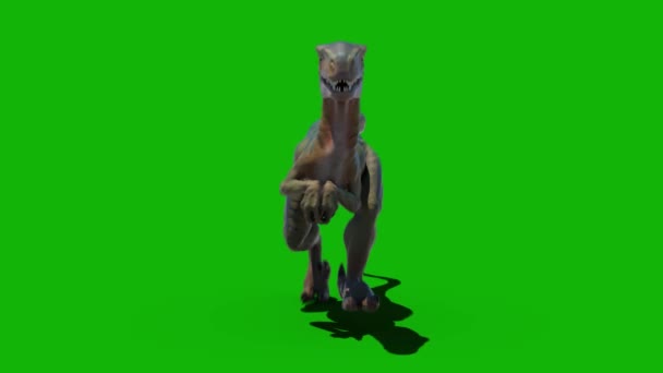 Dinosaures Haute Résolution Écran Vert Vidéo Facile Modifiable Écran Vert — Video