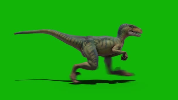 Dinosaurs Top Resolution Green Screen Video Easy Editable Green Screen — Stock Video