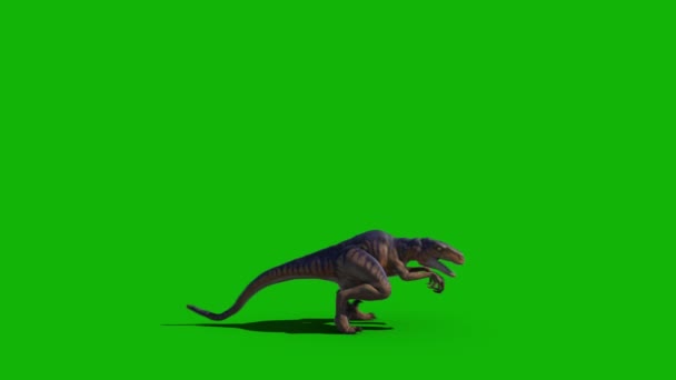 Los Dinosaurios Arriba Resolución Video Pantalla Verde Video Pantalla Verde — Vídeo de stock