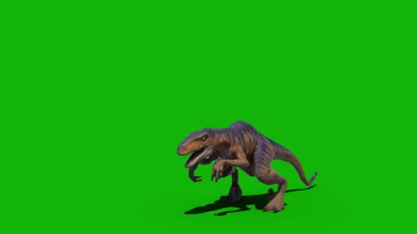 Dinosaurier Höchster Auflösung Green Screen Video Leicht Bearbeitbare Green Screen — Stockvideo