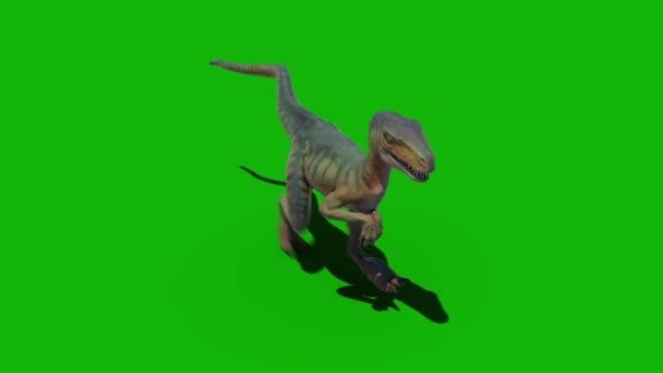 Dinossauros Topo Resolução Verde Tela Vídeo Fácil Editável Tela Verde — Vídeo de Stock