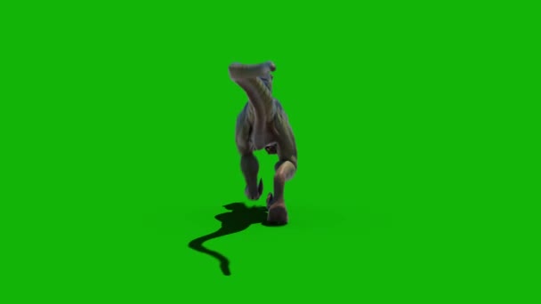 Dinozorlar Iyi Çözünürlükte Yeşil Ekran Video Kolay Düzenlenebilir Yeşil Ekran — Stok video