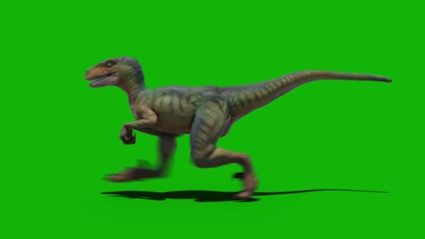 Динозавры Верхнего Разрешения Зеленый Экран Видео Легко Редактируемый Зеленый Экран — стоковое видео